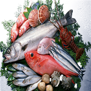 南方水產(chǎn)品加盟 把握商機，開拓水產(chǎn)品市場新藍海