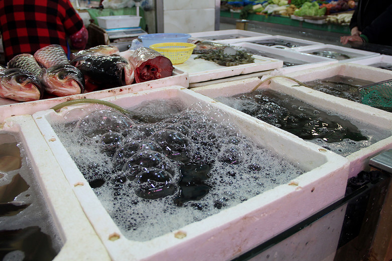 菜市場(chǎng)生鮮水產(chǎn)魚(yú)類 從市井煙火到餐桌美食的鮮活圖景