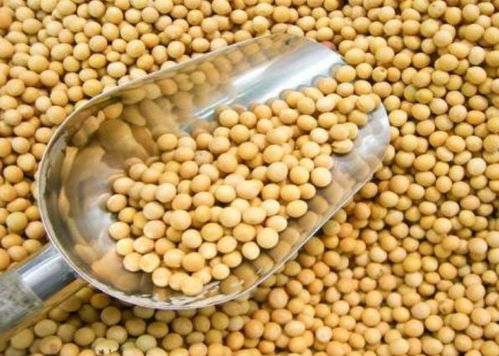 寧波進(jìn)口食品排行榜揭曉 水產(chǎn)品榮登榜首，吃貨最愛(ài)一覽