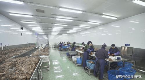 食品工業(yè)廢水除臭劑的使用方式及其在廣東省基礎(chǔ)電信業(yè)務(wù)中的潛在應(yīng)用