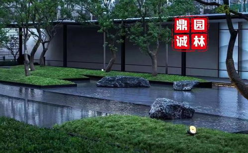 黑山石 庭院水景與枯山水的自然詩意設計